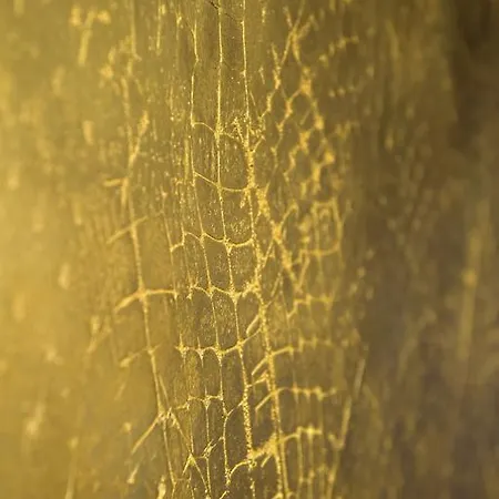 Rohan, Centre Cathédrale Hotel