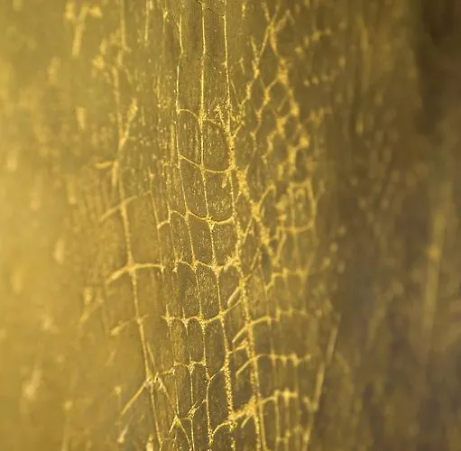 Le Rohan, Centre Cathedrale Hotel